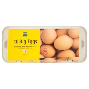 Farm Fresh 10 Big Eggs 660g