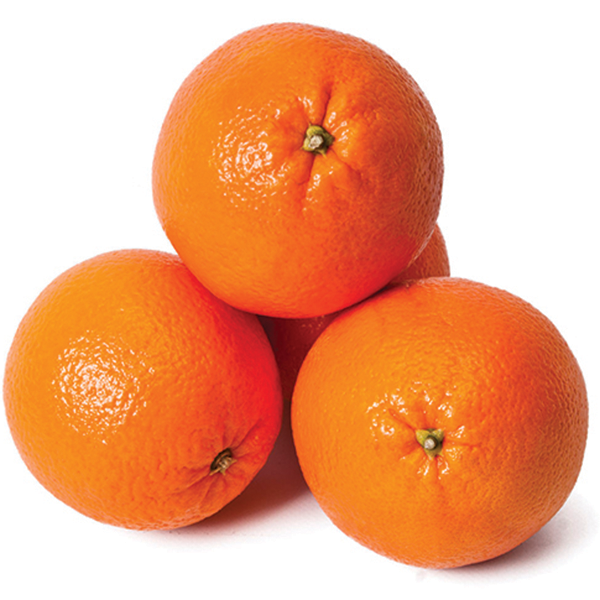 Oranges - pack of 5