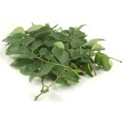 Fresh Curry Leaves Packet