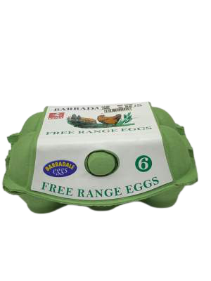 Farm Fresh 6 Large Free Range Eggs