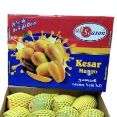 Indian Kesar Mangoes - Explo
